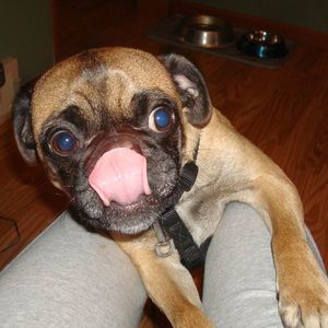 Meet your Posher, Michaela